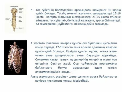 Тәжіктердің есектің порносы