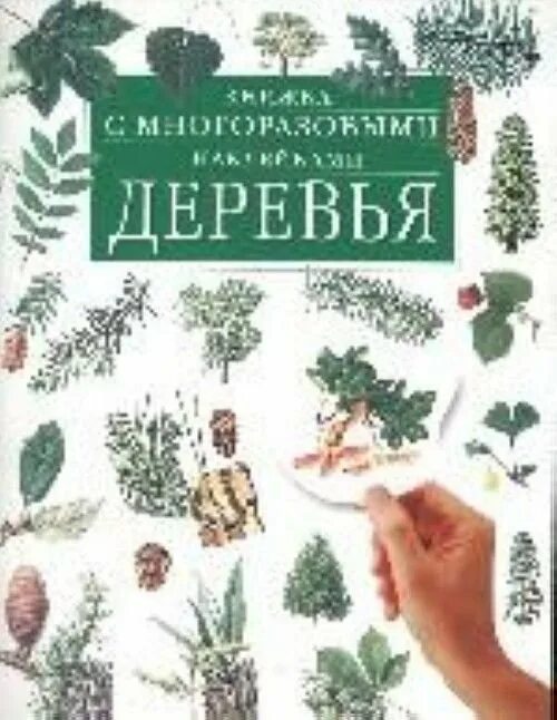 Книги про деревья для детей. Дерево с книгами. Книга дети на деревьях. Энциклопедия деревьев. Книга дети на деревьях.