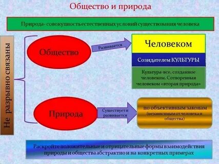 Обществознание 8 класс человек общество природа конспект