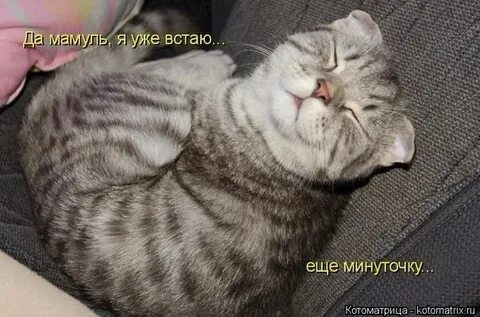 Я уже встал