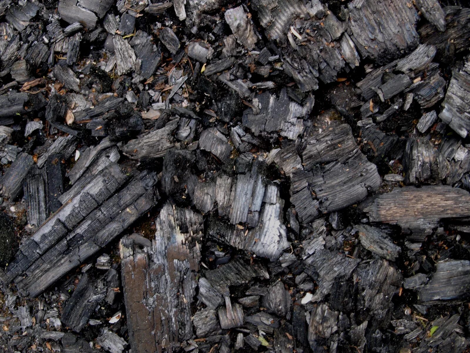 Песчано гравийная смесь текстура. Галечниковый грунт. Лава магма. Уголь граундед. Grounded уголь.