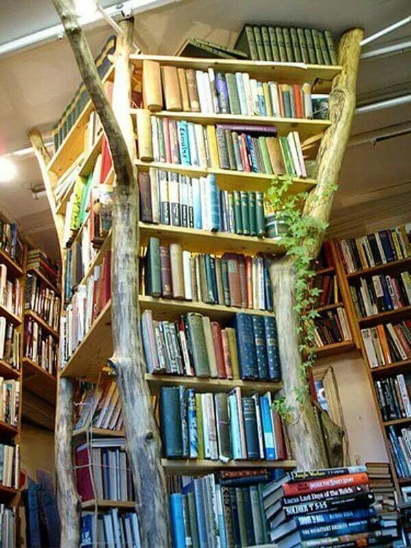 Стеллаж дерево в библиотеке. Книжные полки для детскую библиотеку. Библиотечные полки старые. Арт стеллаж дерево в библиотеке.