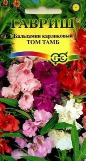 Бальзамин том тамб отзывы