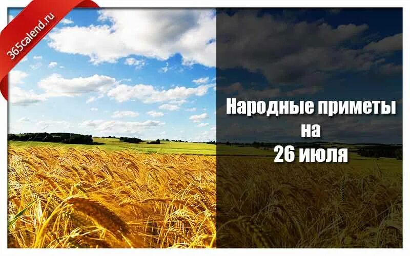 Сколько дней до 26 июля 2024. 26 Июля народный календарь. 26 Июля приметы. 26 Июля народные приметы. Приметы на Гаврилу летнего.