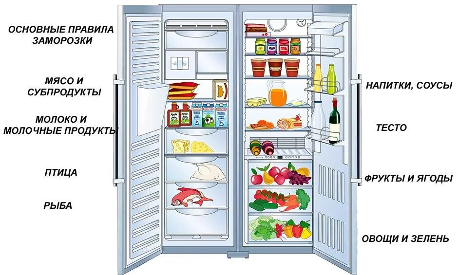 Правила заморозки. Холодильник LG двухкамерный расположение полок. Холодильник с продуктами. Продукты хранящиеся в холодильнике. Хранение продуктов в холодильнике.