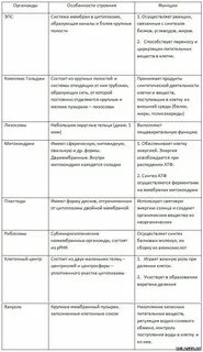 Органоиды клетки характеристика и функции таблица