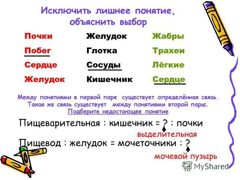 Укажите лишнее понятие объясните почему. Как объяснить понятие. Информатика это исключить лишнее понятие. Исключите лишнее понятие объясните что объединяет остальные понятия.