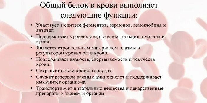 Общий белок в крови снижение. Повышение белок в крови причины. Общий белок в крови. Причины повышения общего белка в крови. Общий белок в крови повышен.