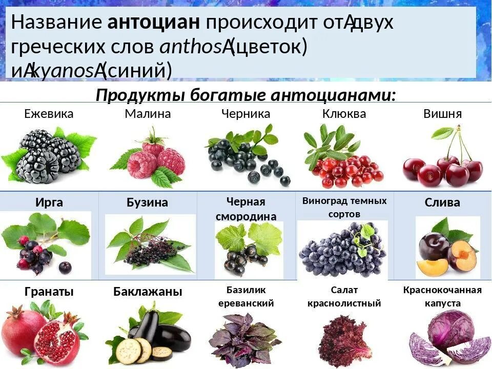 Ягоды названия. Название разных ягод. Продукты богатые антоцианами. Ягоды которые едят..