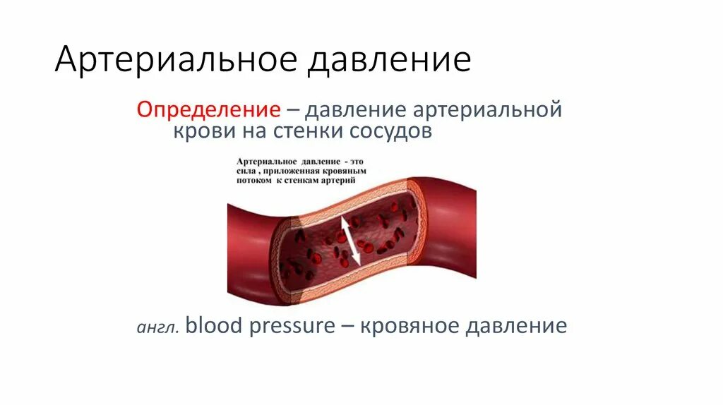 Уровень поражения стенки сосудов при гипертонической болезни. Таблица скорости течения крови по сосудами. Кровеносные сосуды скорость движения крови. Артериальное давление (ад) крови. Понятие артериального давления.