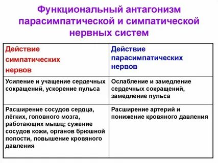 Симпатика действие