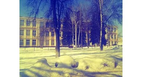 Лингвистические гимназии г пензы