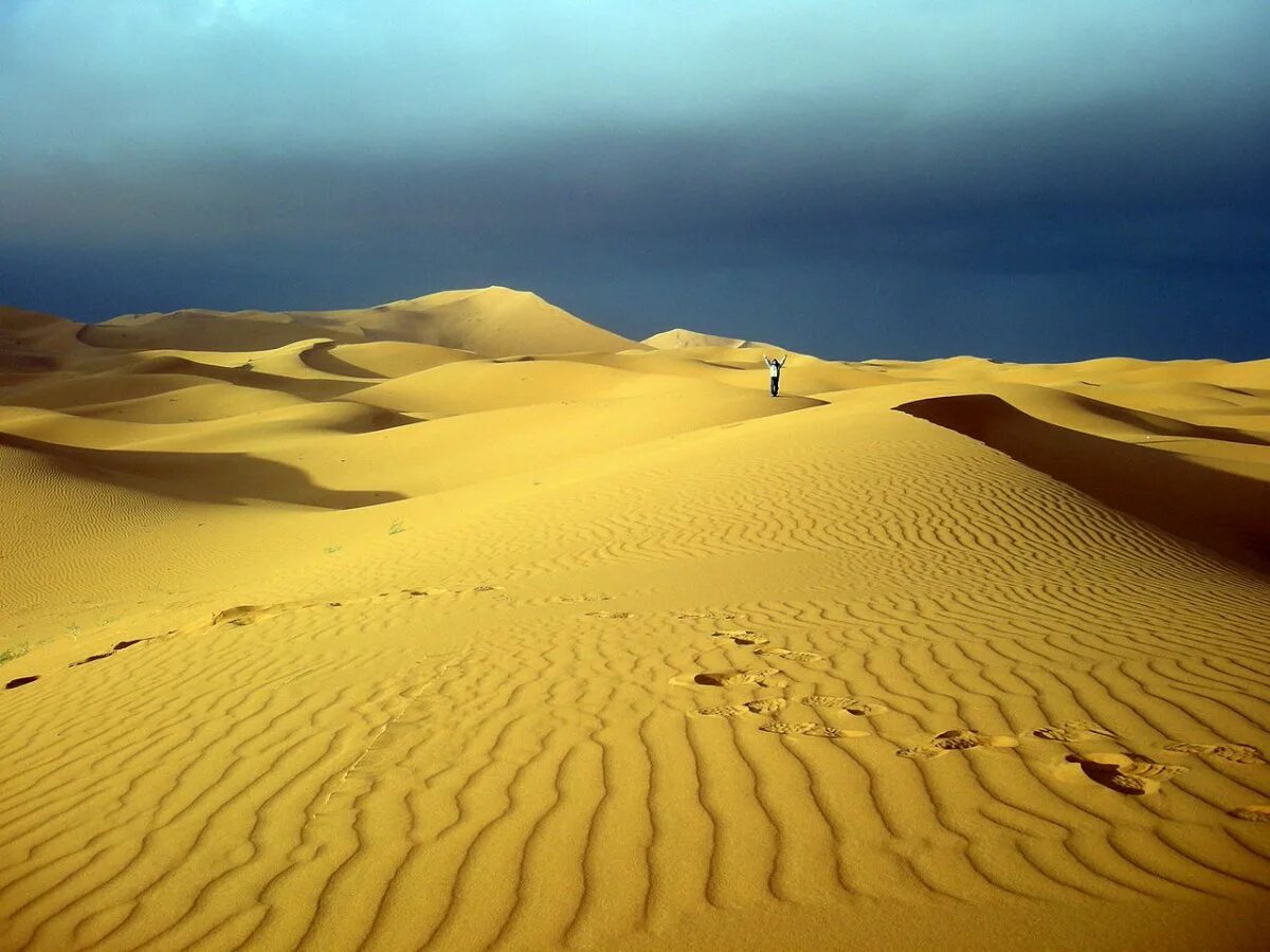 Наибольшая пустыня в мире. Пустыня Барханы Оазис. Пустыня Барханы Саудовская. Эль Джуф пустыня. Саудовская Аравия пустыня.