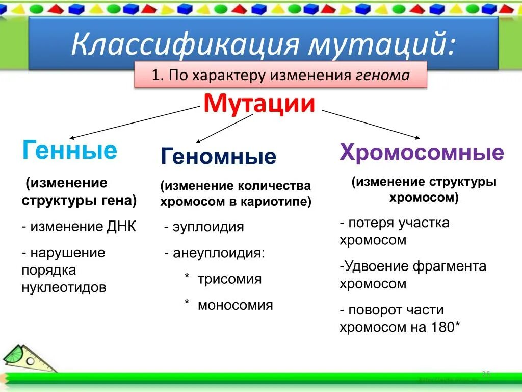 Классификация мутаций генные хромосомные геномные таблица. Классификация геномных мутаций. Классификация мутаций генные хромосомные геномные. Классификация мутаций: генные, хромосомные, аберрации, геномные.