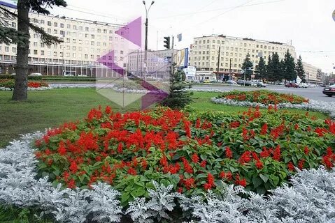 Парковое хозяйство санкт петербурга