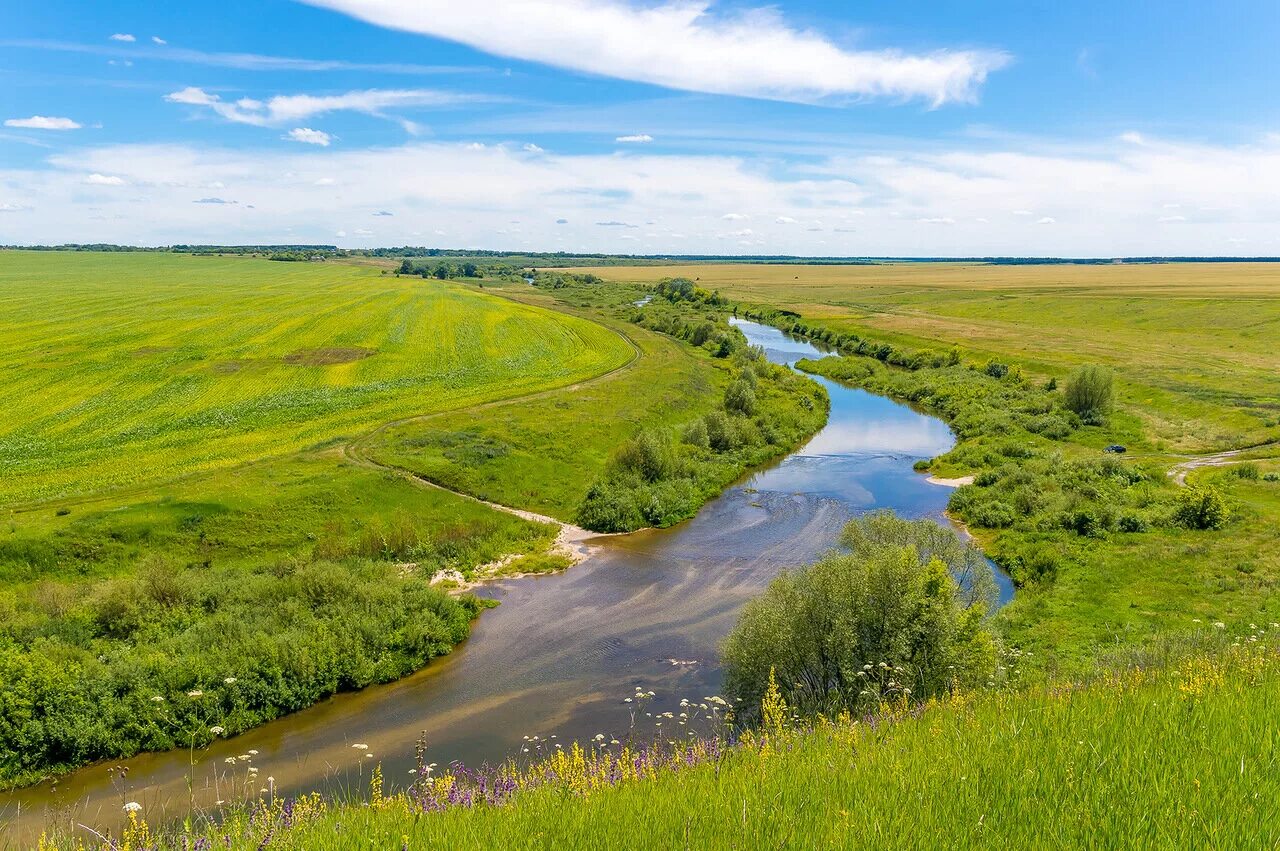 Река в курской области 5 букв. Река Олым Липецкая область. Олым река в Курской и Липецкой области. Река Олым Курская область. Олым – река в Курской.