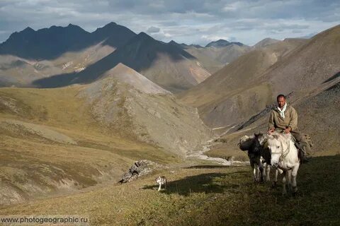 Горная гордость