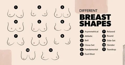 Understanding the Different Breast Shapes Leonisa.