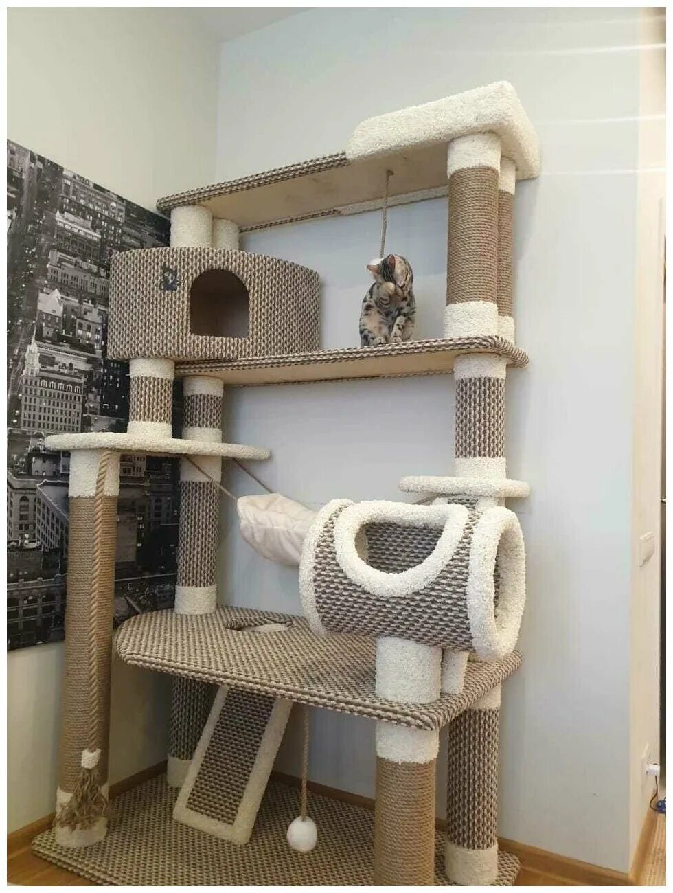 Кошачий комплекс фото