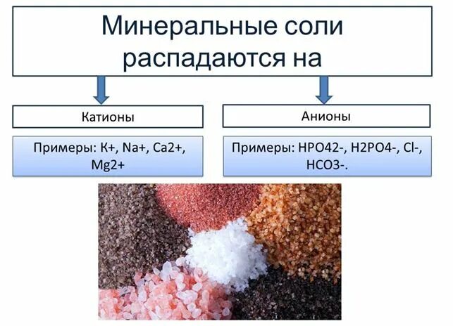 Вещества содержащиеся в соли. Катионы и анионы клетки. минеральные соли который распадается на ионы. вещества распадающиеся в организме на свободные катионы. катионы минеральных веществ.