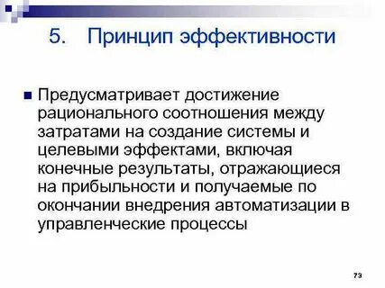 Принцип эффективности организации