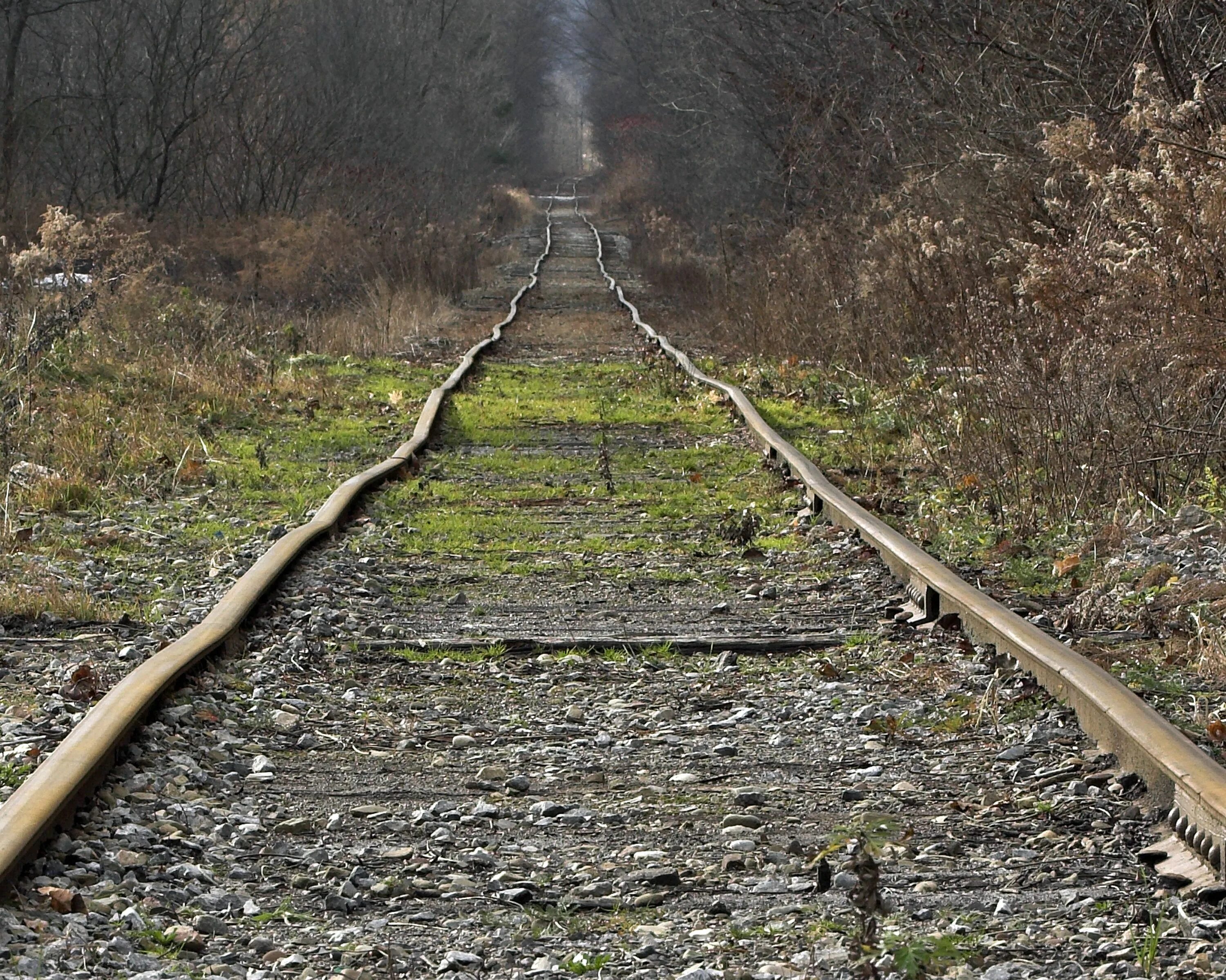 Поезд рельсы сша. Abandoned railroad. заброшенные рельсы. современные рельсы. рельсы в лесу.