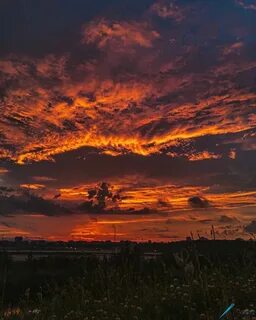 Воробьева небеса