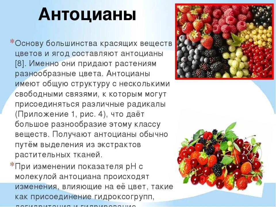 Антоцианы в продуктах. Пигмент антоциан. Каротиноиды и антоцианы. Антоцианы в растениях.