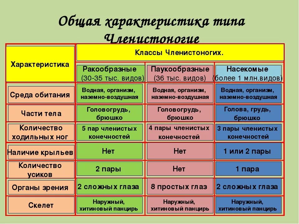 И т д основные особенности. Характеристика членистоногих 7 класс биология. Общая характеристика членистоногих 7 класс биология кратко. Характеристика типа членистоногих таблица. Основные черты типа Членистоногие.