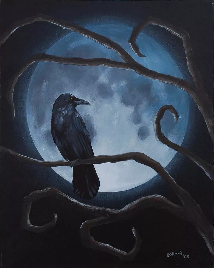 Картина темная луна. Ворон на ветке. Ворона на ветке. Мистический ворон. Вороны ночью.