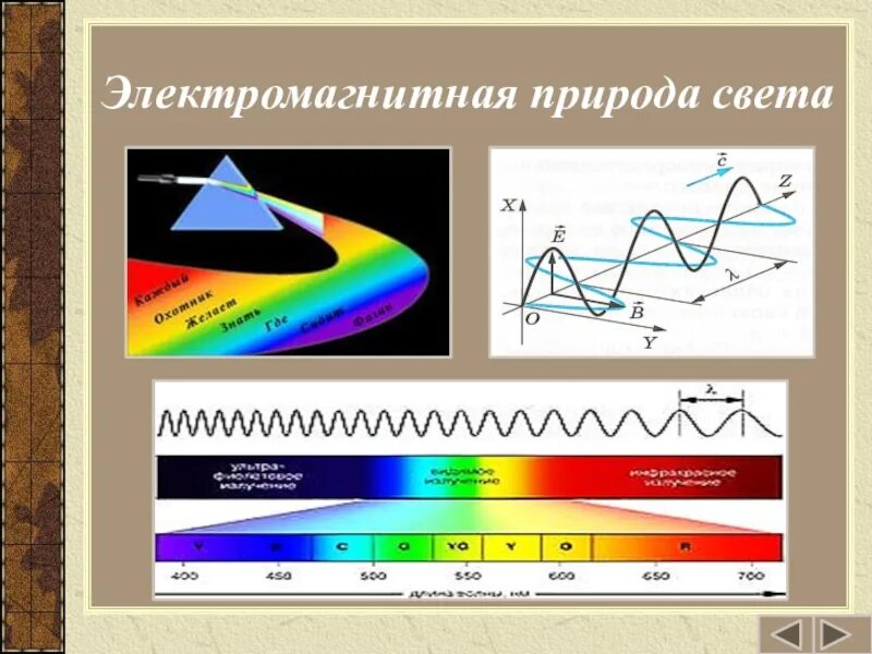 Волновая природа света 9 класс