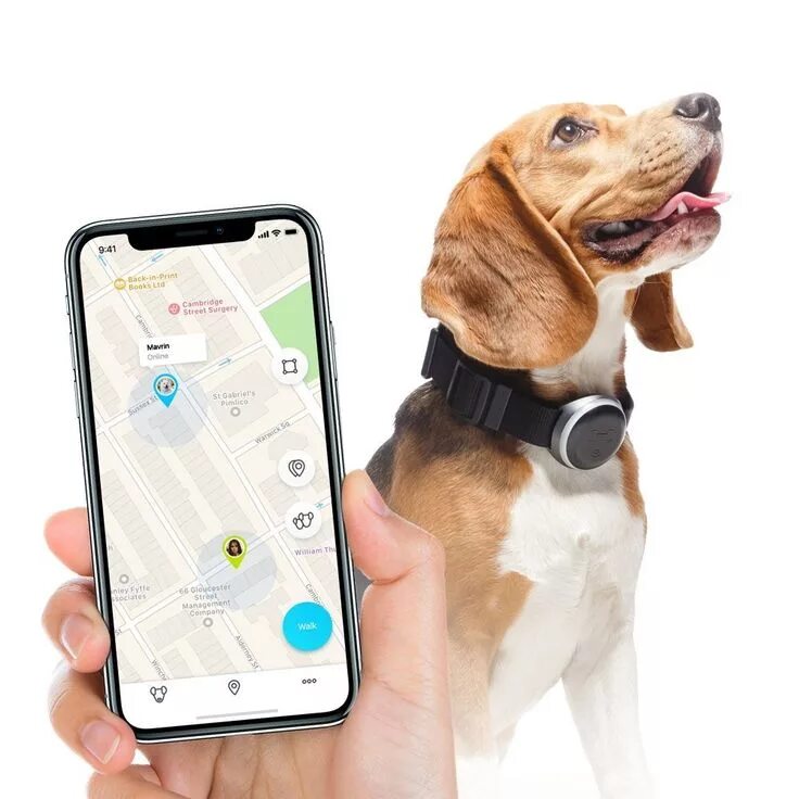 Gps навигатор для собак. Gps трекер mishiko. gps трекер для собак. mishiko gps трекер для собак. gps-ошейник ошейник mishiko gps и фитнес-трекер.