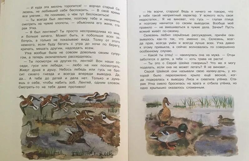 Серая шейка книга. Иллюстрации к книге серая шейка. План рассказа серая шейка. Рассказ серый читать