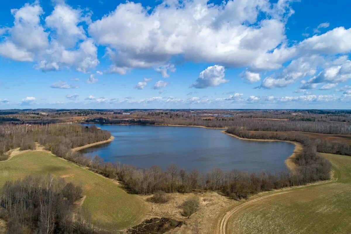 Автобус витебск вильнюс. Полоцк глубокое. Озеро свиношное шатурского района. Замок полоцк белоруссии. Святое тумботинское озеро.