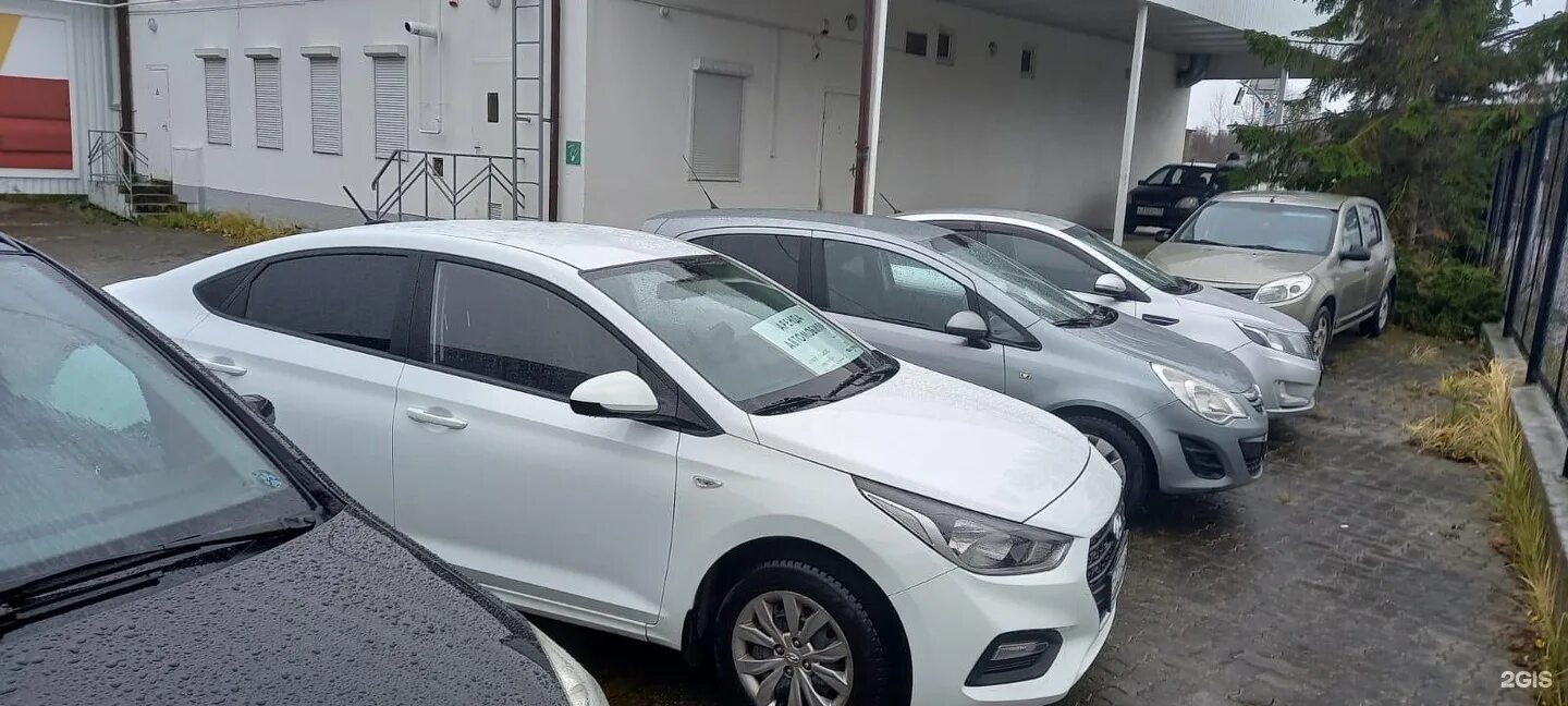 Прокат авто зеленоградск. Аренда авто зеленоградск. Сити рент калининград. Авто с пробегом симферополь мирное. Прокат авто зеленоградск.