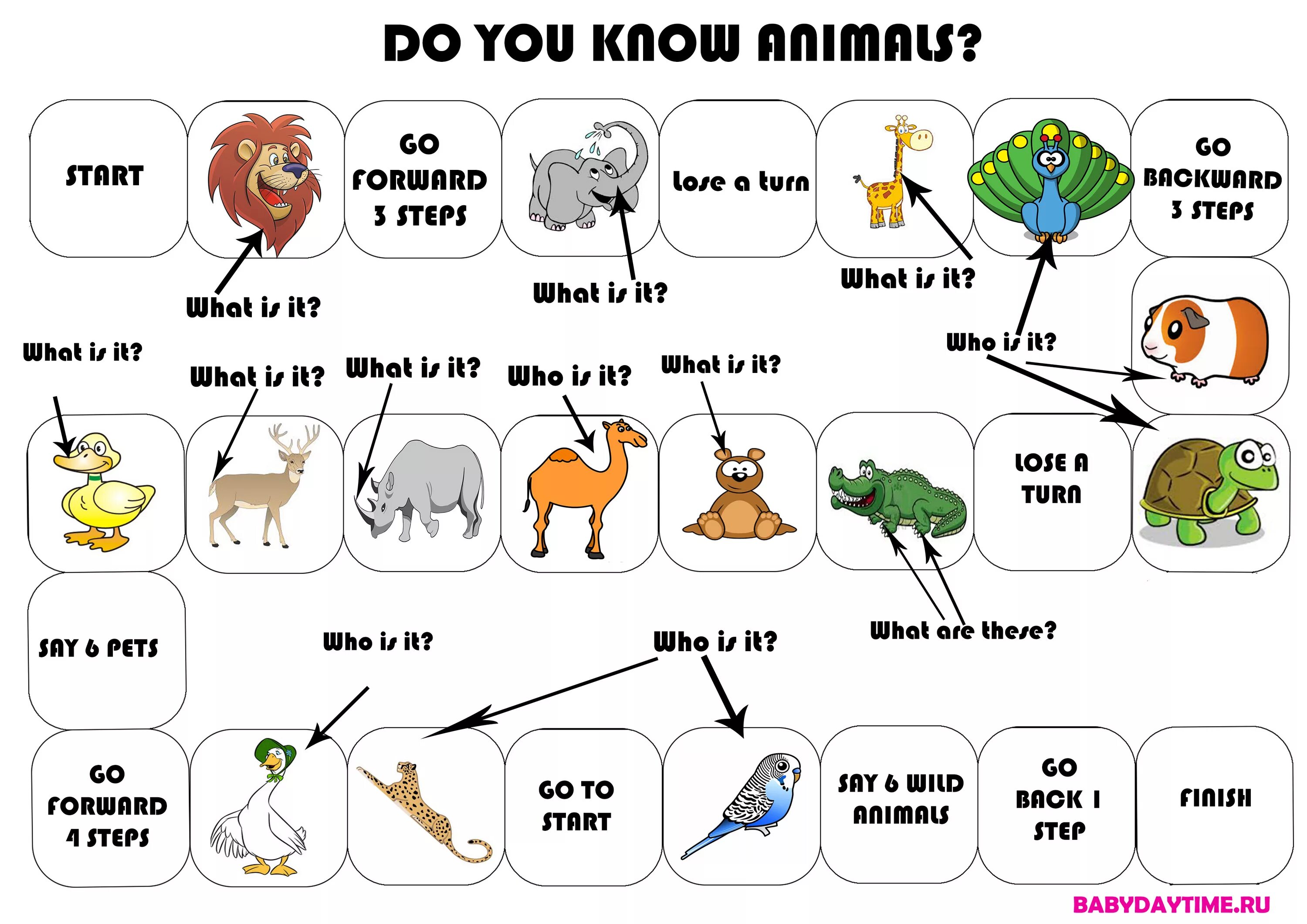 Do you have pet animals