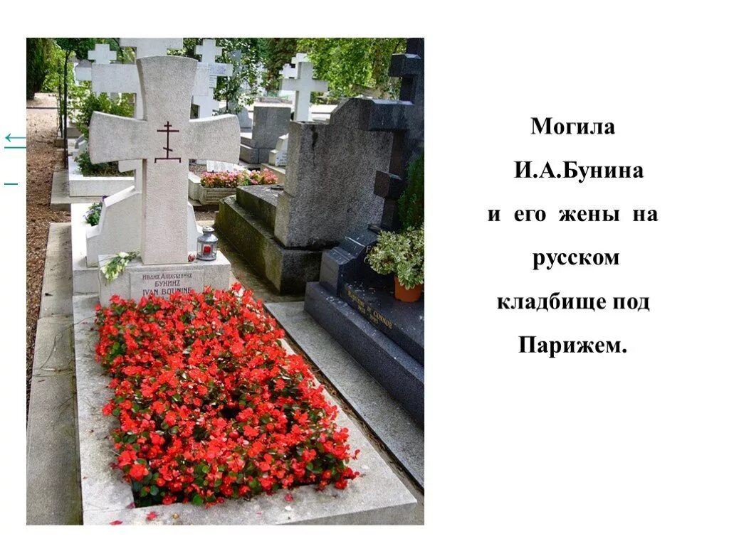 Надсон и бунин. Иван бунин могила. Бунин над могилой. Бунин над могилой. Бунин над могилой.