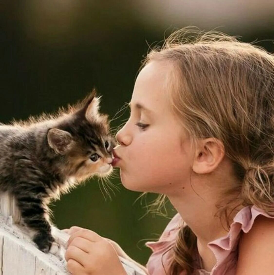 Котёнок-ребёнок. Кошка для детей. Кошка мальчик. Котёнок-ребёнок. Кошка мальчик.