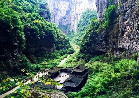 Wulong