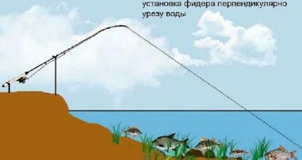 Фидер в стоячей воде. Фидер (рыбная ловля). фидерная снасть.