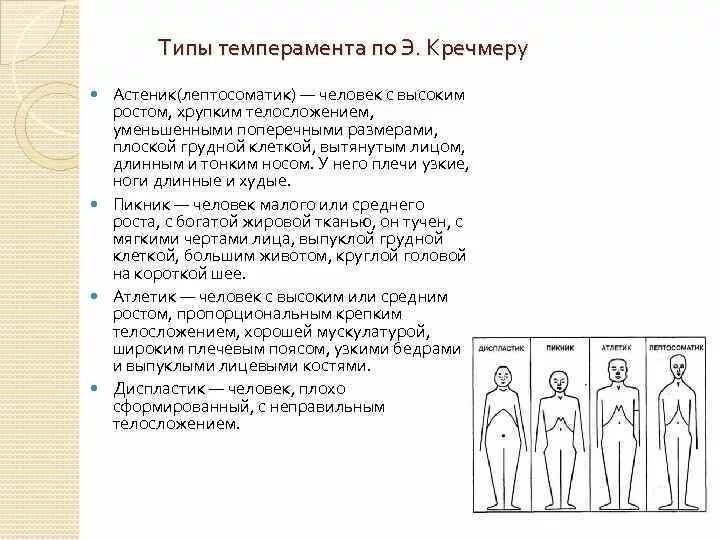 Типология типов темперамента. Типология типов темперамента