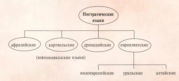 Индоевропейская семья языков дерево. Индоевропейская языковая семья схема. Субъекты индоевропейской семьи. Язык калмыки относится к индоевропейской семье языков. Ностратические языки.