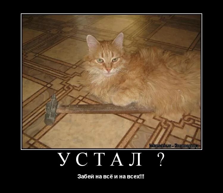 иногда хочется покоя и тишины. пора кушать. статусы про беду. можно я приду по среди. разлук город.