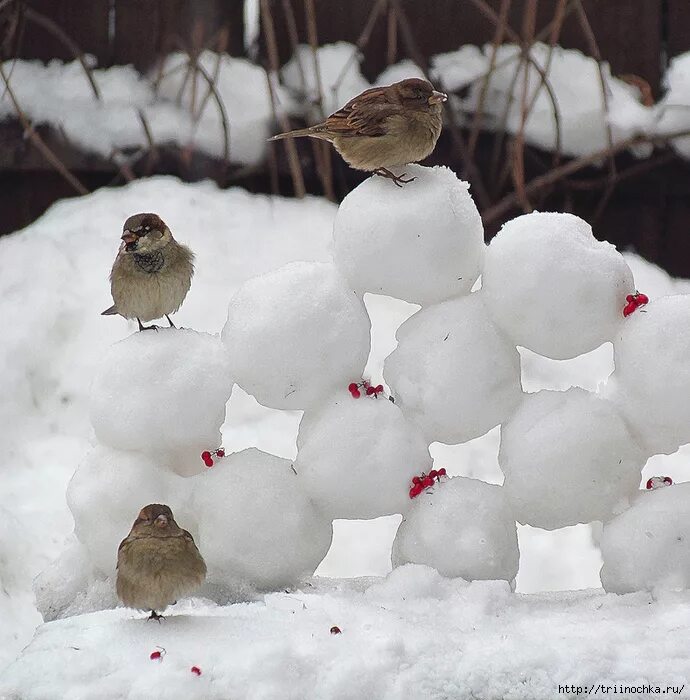 Зимующая птица снегери. Зима в саду. Снеговик с птичкой. Кормушка на дереве зимой. Кормушка для птиц.