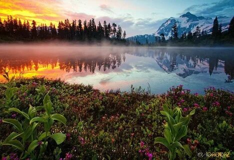 Nature beauty