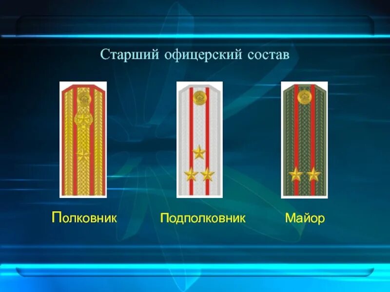 Старший офицер кий состав. Старше офицерский состав. Полковник и подполковник.