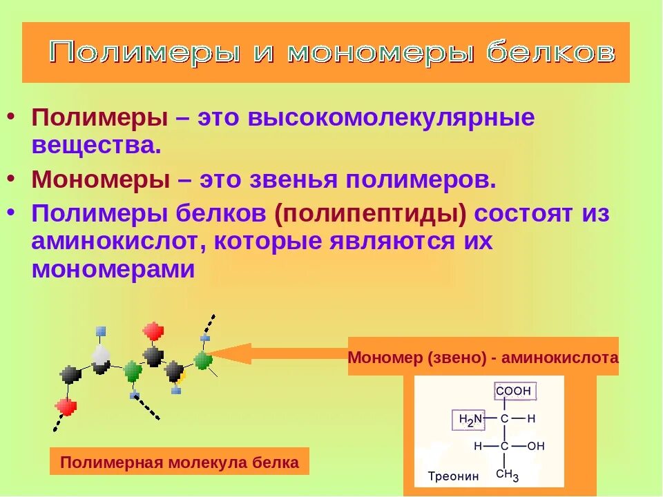 Мономеры органических молекул. Полимеры и мономеры. Полимеры и мономеры это в биологии. Характеристика мономеров и полимеров. Строение полимеров и мономеров.