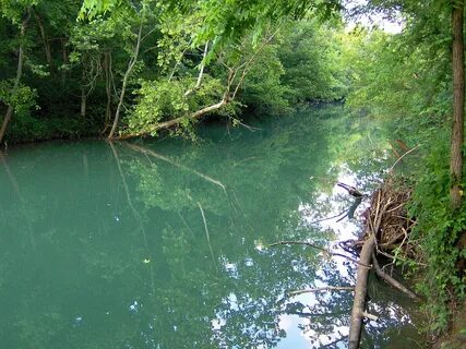 River wolves