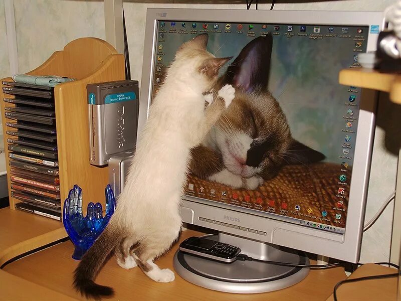 Спать картинки прикольные. Хватит спать пора вставать. Хватай сон 4. Дорама игра в кальмара 2. Хватай сон 4.