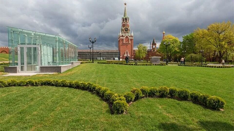 Молодой московский парк рядом с кремлем 7. Деревья кремль парк зарядье. Парк зарядье в москве вид с моста. 14 корпус московского кремля. Парк рядом с кремлем в москве.